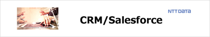 CRM/Salesforce | Offering for Enterprise
